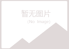 永宁县夏岚化学有限公司